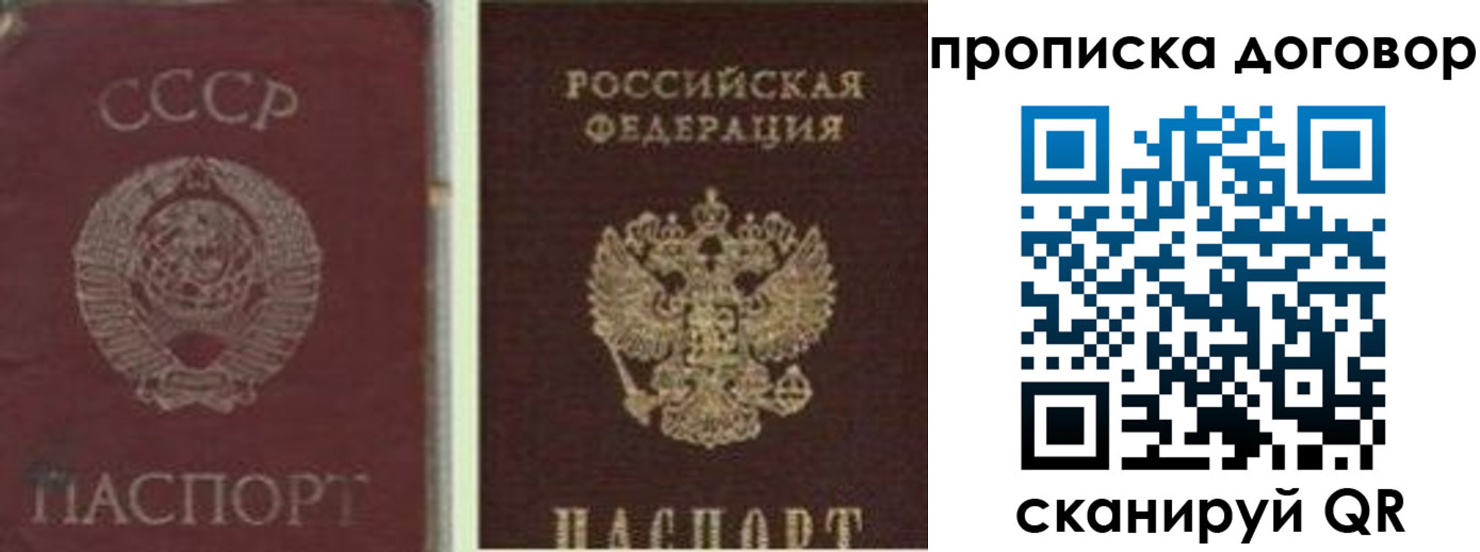 прописка гарантия в Пикалёво